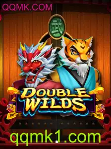 Explorando o Mundo Emocionante de DoubleWilds